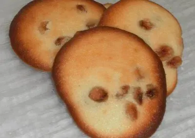 boulangerie-patisserie-le-puit-damour-samatan-palet-raisin-400x284